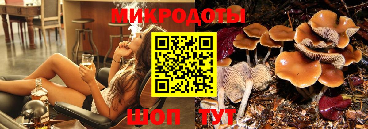 Псилоцибиновые грибы мицелий Рыбинск